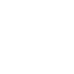 RMS Synergy