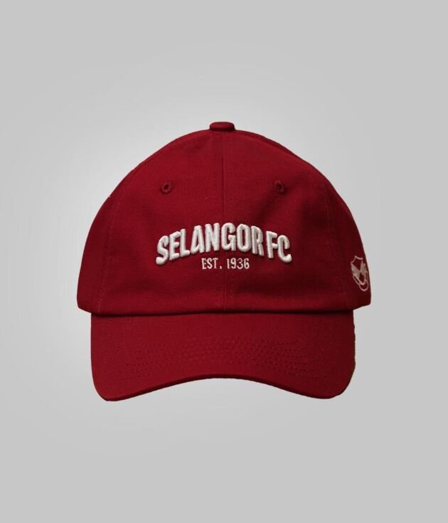 2026 SFC BASIC DADS CAP MAROON