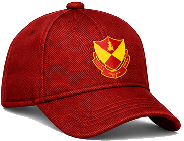 Selangor FC cap